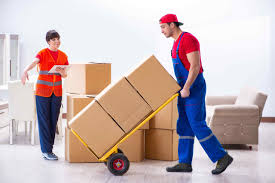 Parcel Transport Service